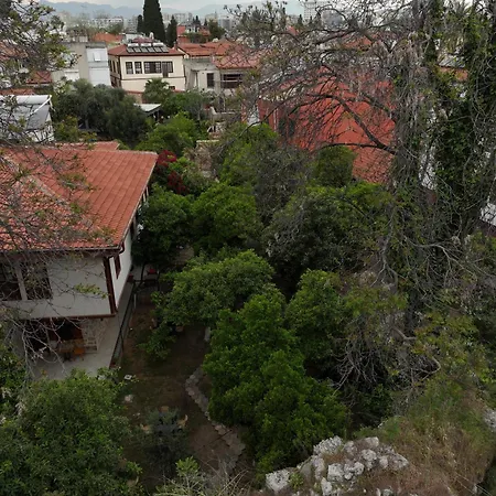 Zemira Garden Hotel-2