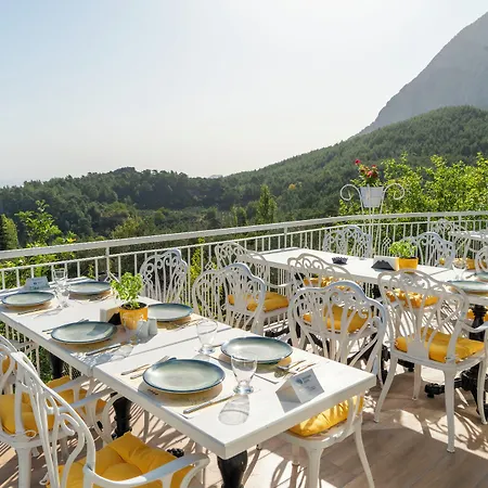 Apa Mountain Lodge-3