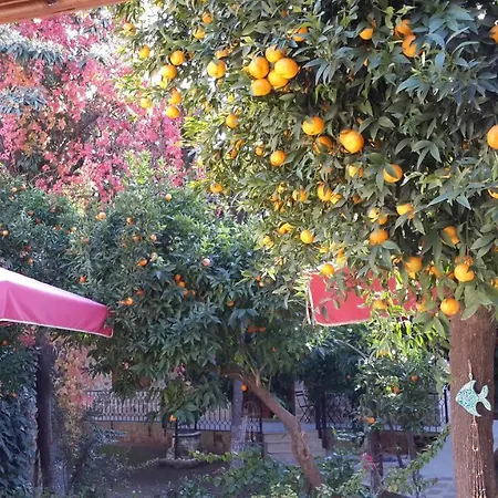 Citrus Garden Hotel-2